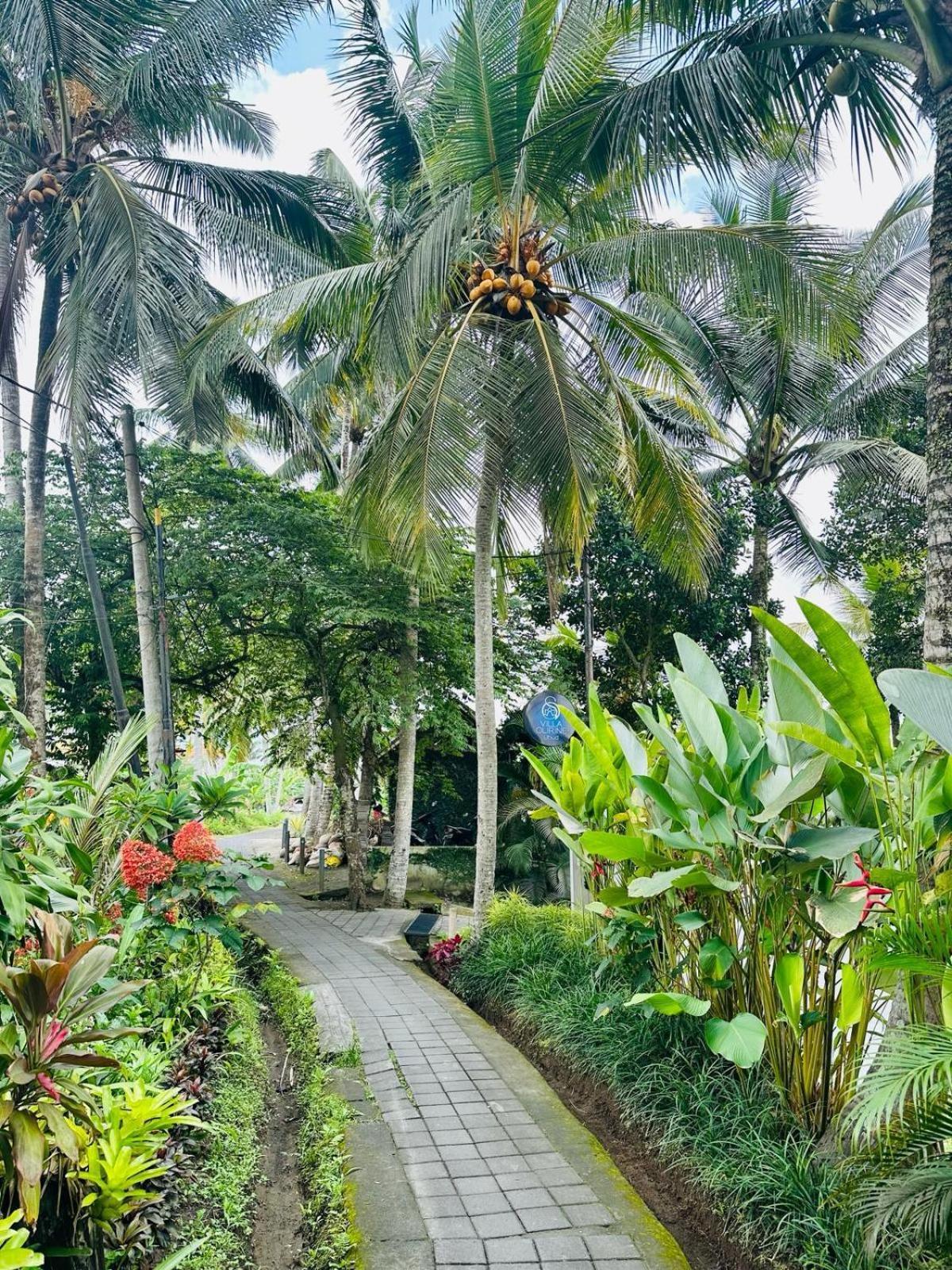 Villa Olirine Ubud Esterno foto